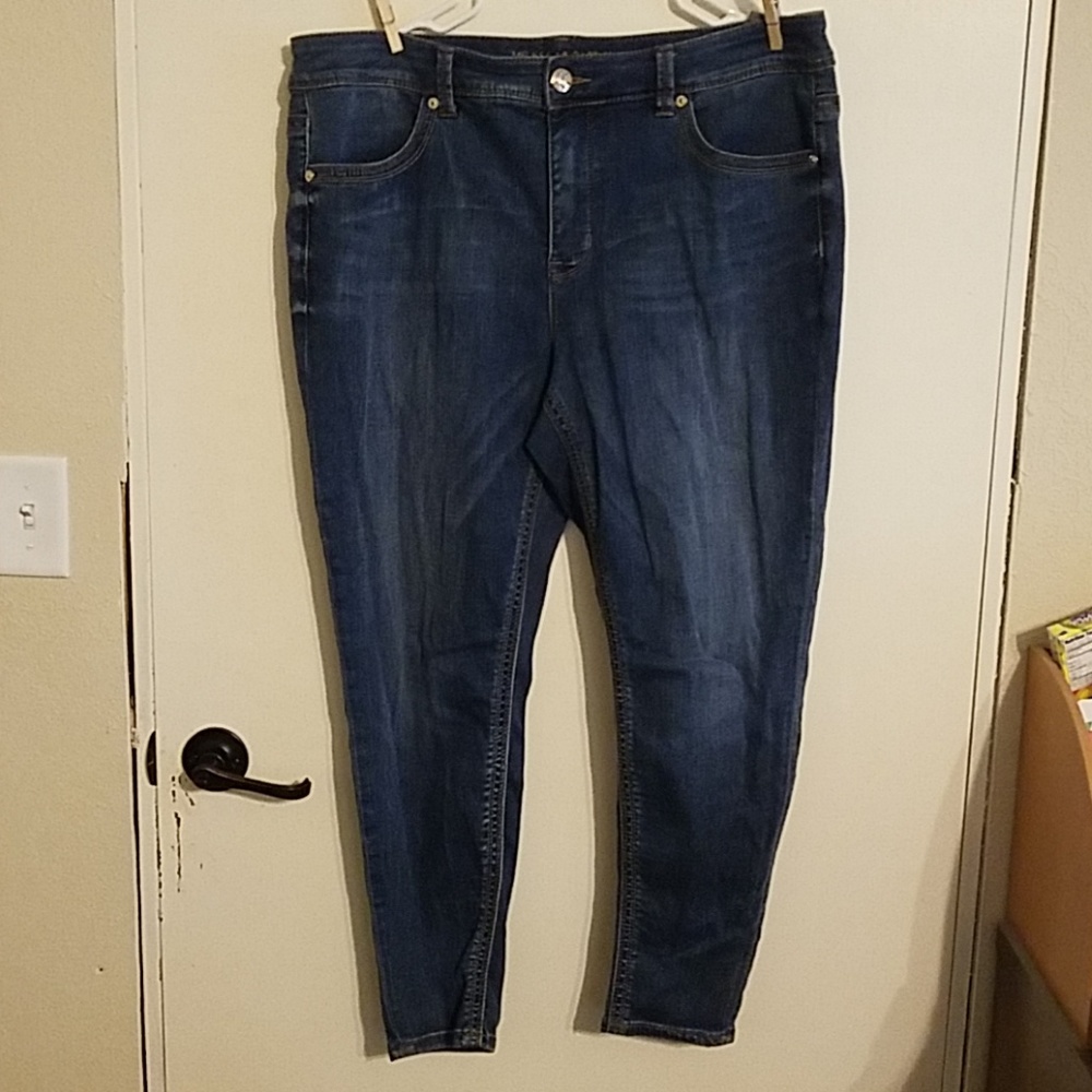 Melissa McCarthy Seven Pencil jeans